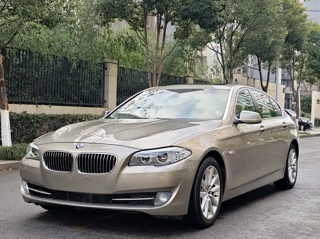 BMW 5 Series 2010 — фото 1