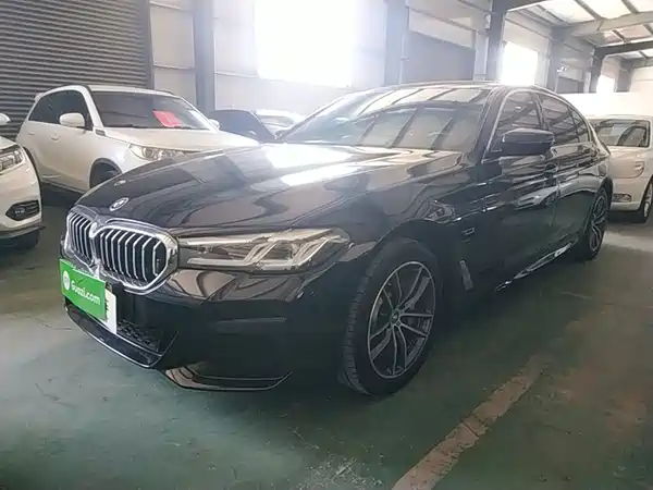 BMW 5 Series New Energy 2022