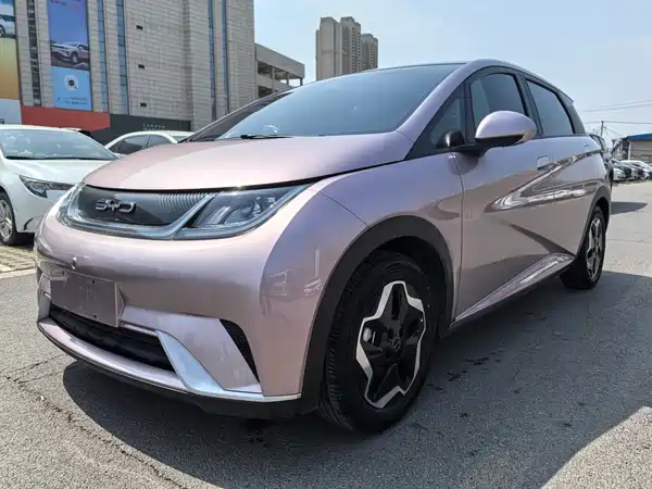 BYD Dolphin 2022