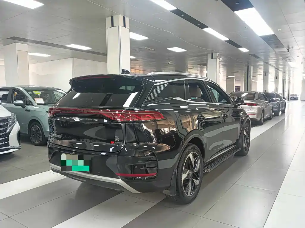 BYD Tang New Energy 2024 — фото 10