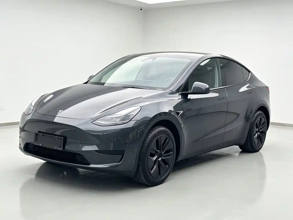Tesla Model Y 2024 — фото 1