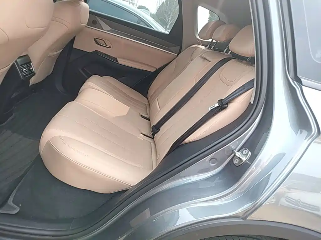 BYD Song Pro New Energy 2024 — фото 17