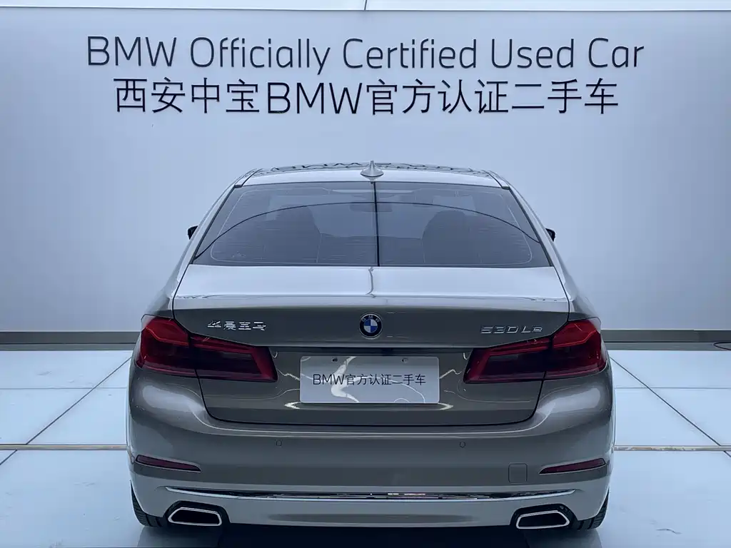 BMW 5 Series New Energy 2020 — фото 4