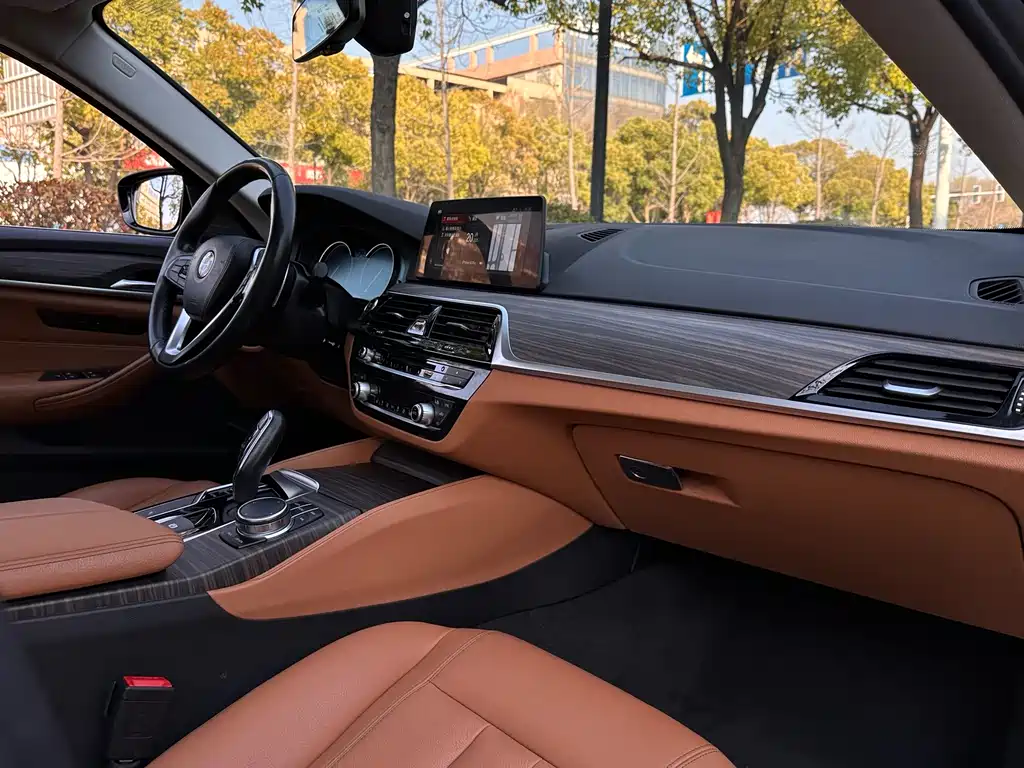 BMW 5 Series 2018 — фото 12