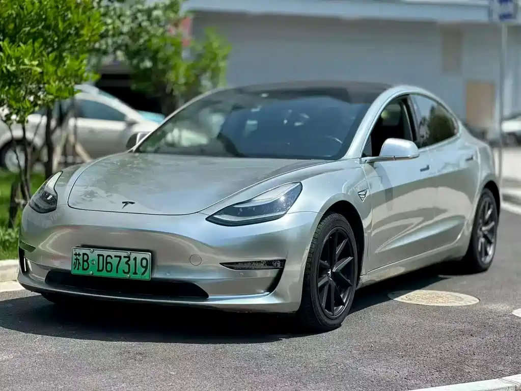 Tesla Model 3 2019