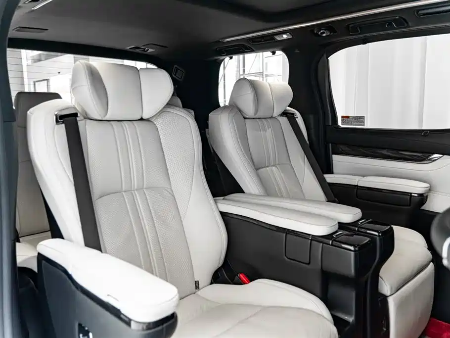 Lexus LM 2020 — фото 13