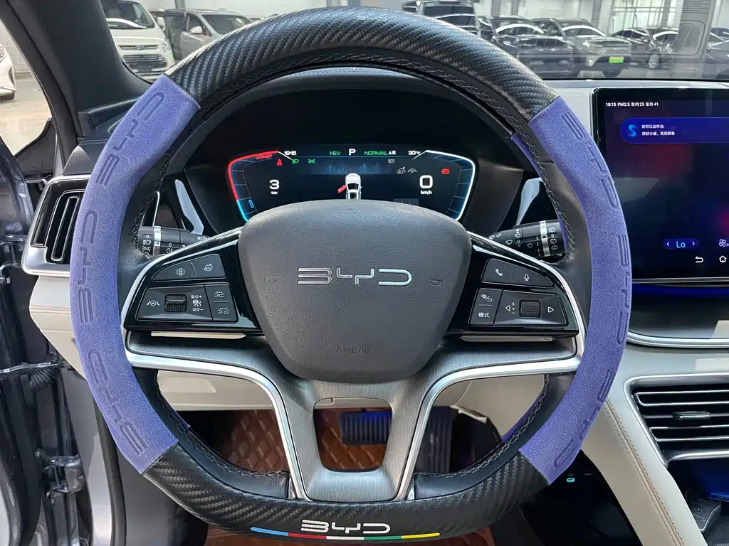 BYD Song PLUS New Energy 2023 — фото 11