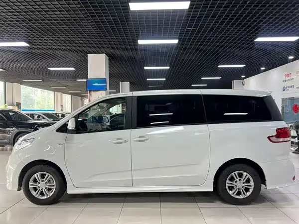 Maxus G10 2019