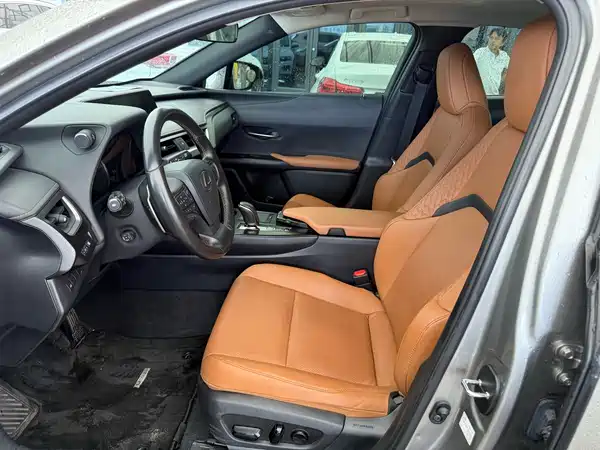 Lexus UX New Energy 2021