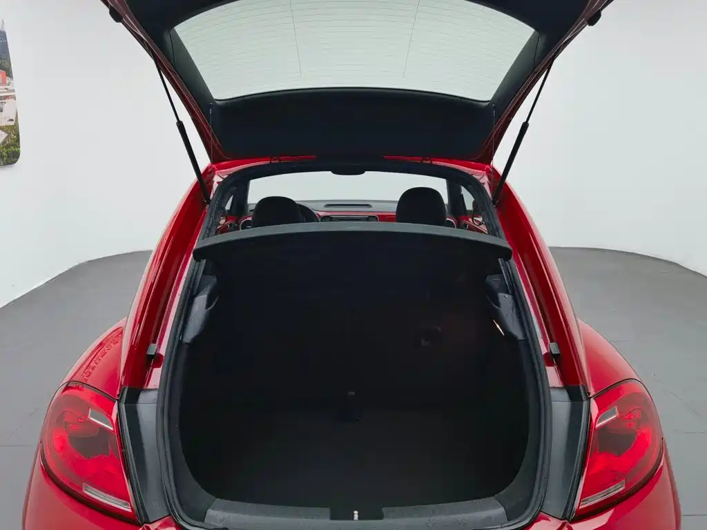 Volkswagen Beetle 2014
