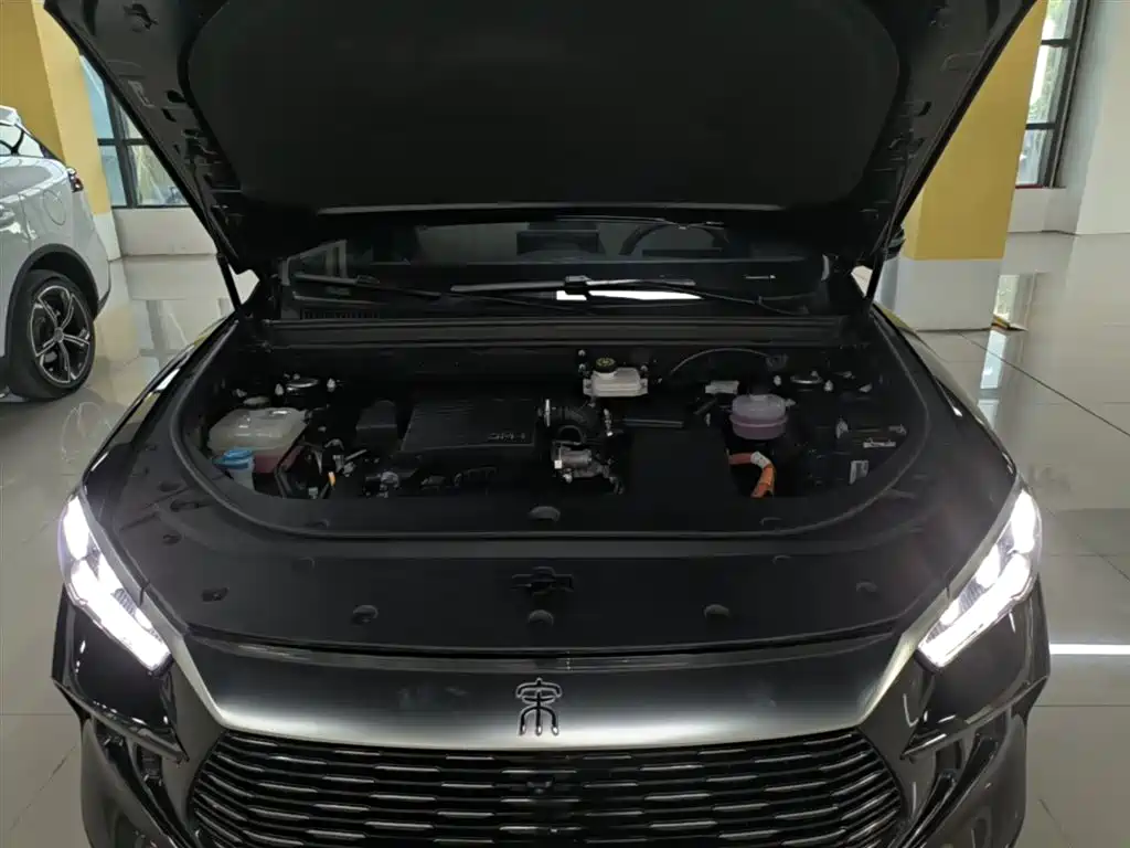 BYD Pro New Energy 2024 — фото 20
