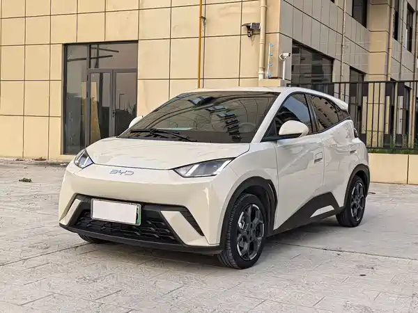 BYD Seagull 2025