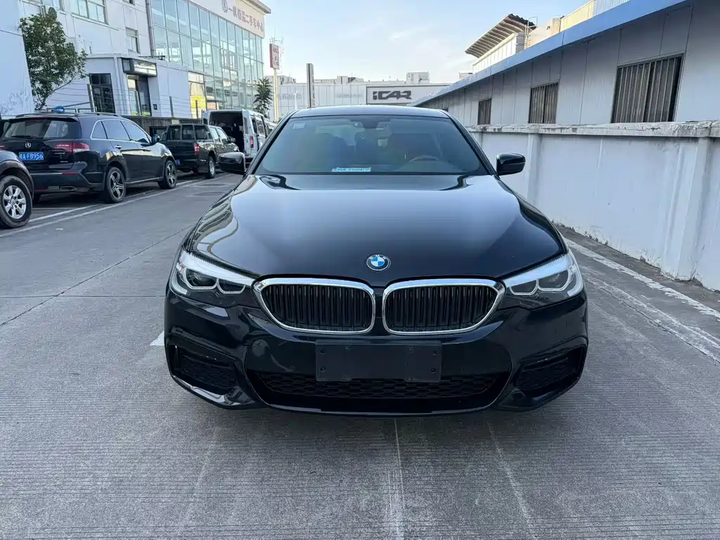 BMW 5 Series 2019