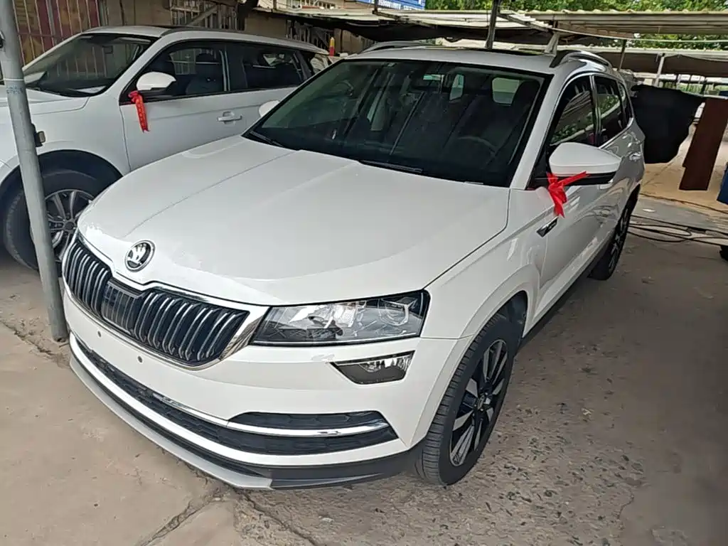 Skoda Karoq 2019 — фото 2