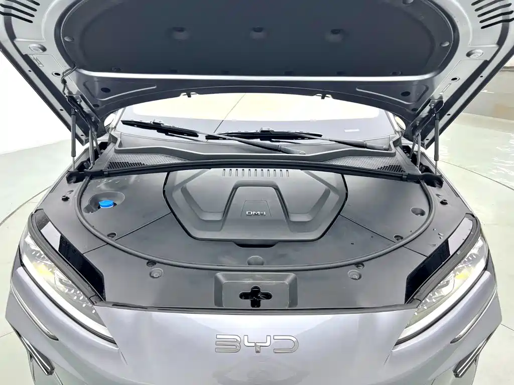 BYD Song PLUS New Energy 2025 — фото 17