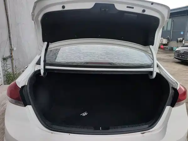 Hyundai Celesta 2018