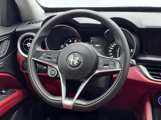 Alfa Romeo Stelvio 2019 — фото 15