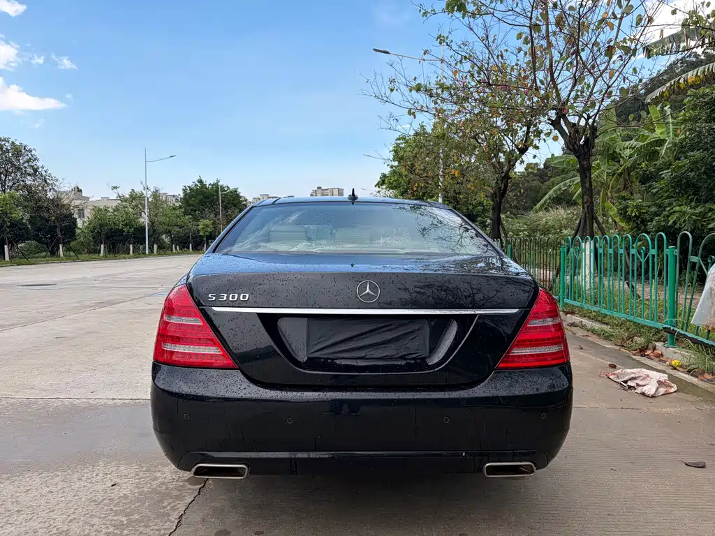 Mercedes-Benz S-Class 2010 — фото 10