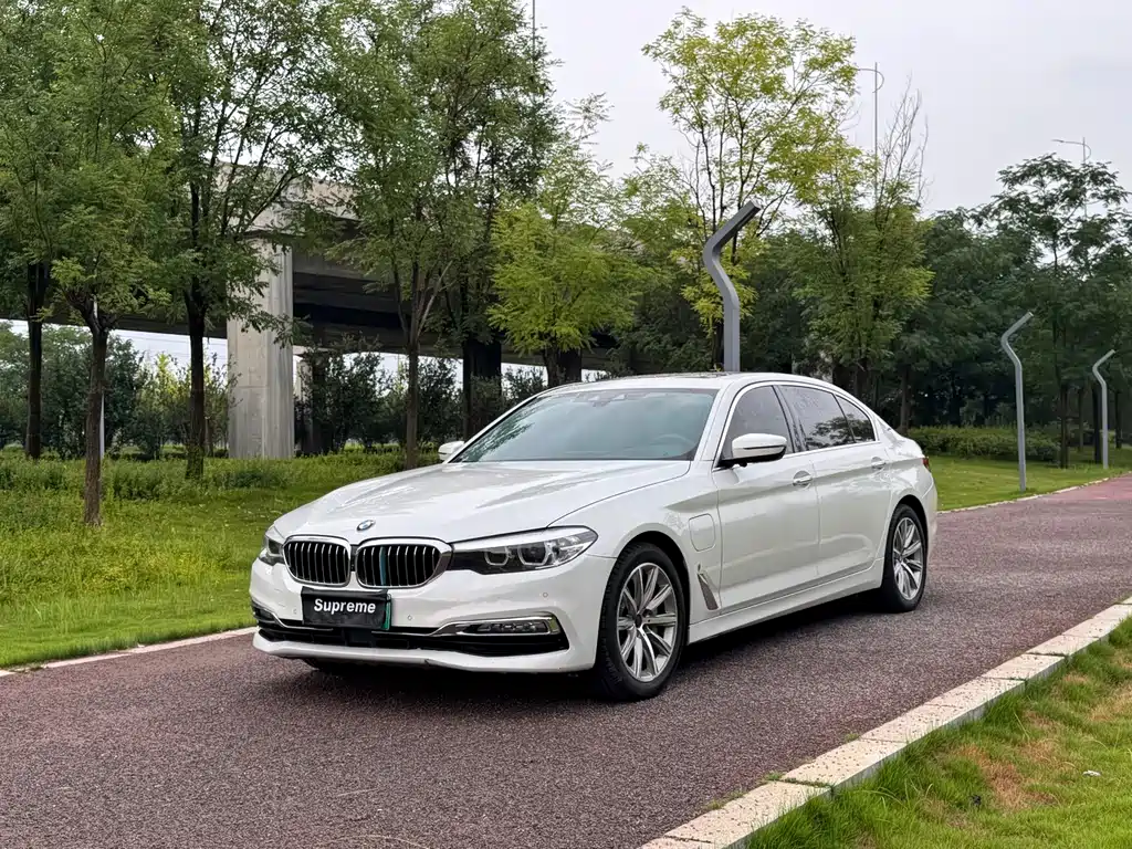 BMW 5 Series New Energy 2018