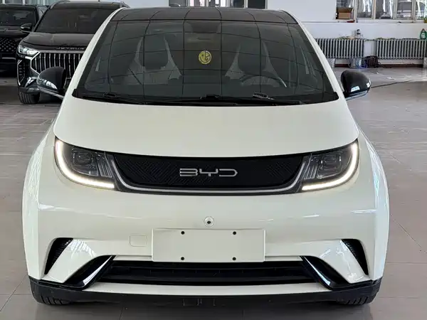 BYD Dolphin 2024