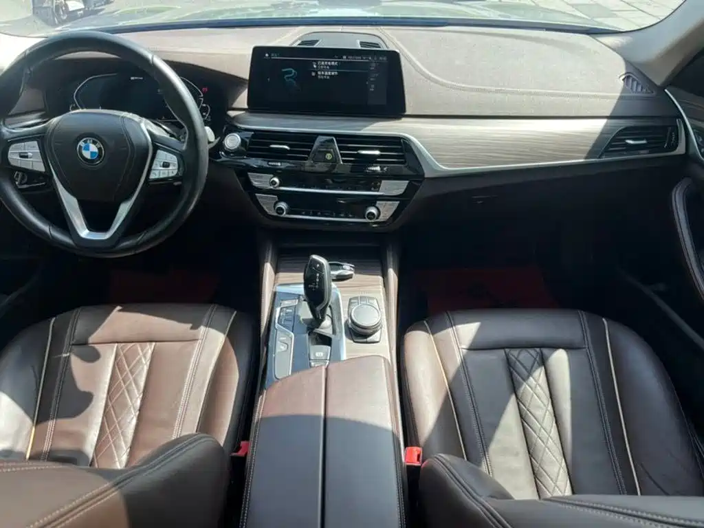 BMW 5 Series New Energy 2020