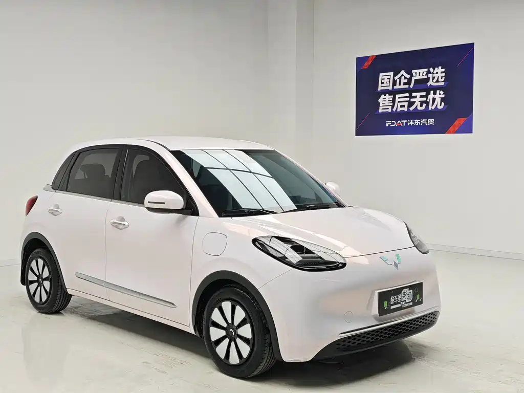 Wuling Bingo 2024