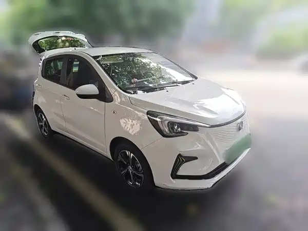 Changan Benben E-Star 2021