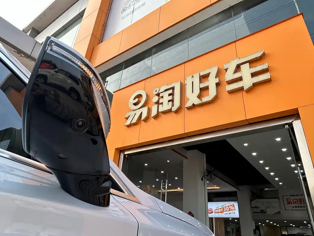 BYD Tang New Energy 2025 — фото 37