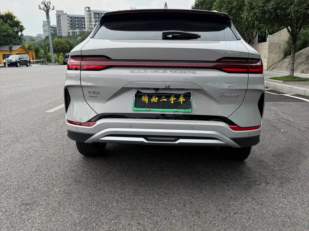 BYD Song PLUS New Energy 2025 — фото 16