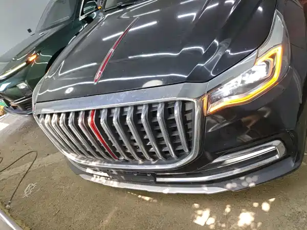 Hongqi HS7 2021