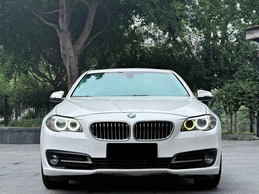 BMW 5 Series 2016 — фото 2