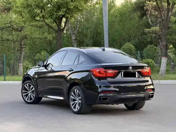 BMW X6 2015