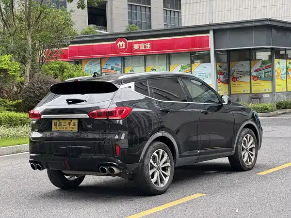 Wey VV6 2020