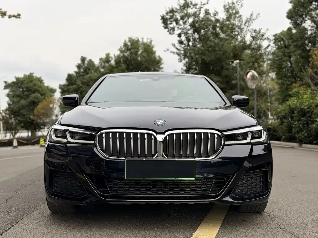 BMW 5 Series New Energy 2021 — фото 2