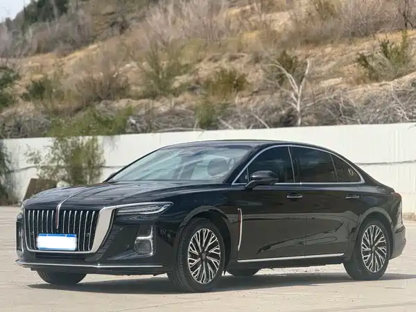 Hongqi H5 2024