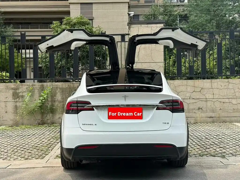 Tesla Model X 2017 — фото 8