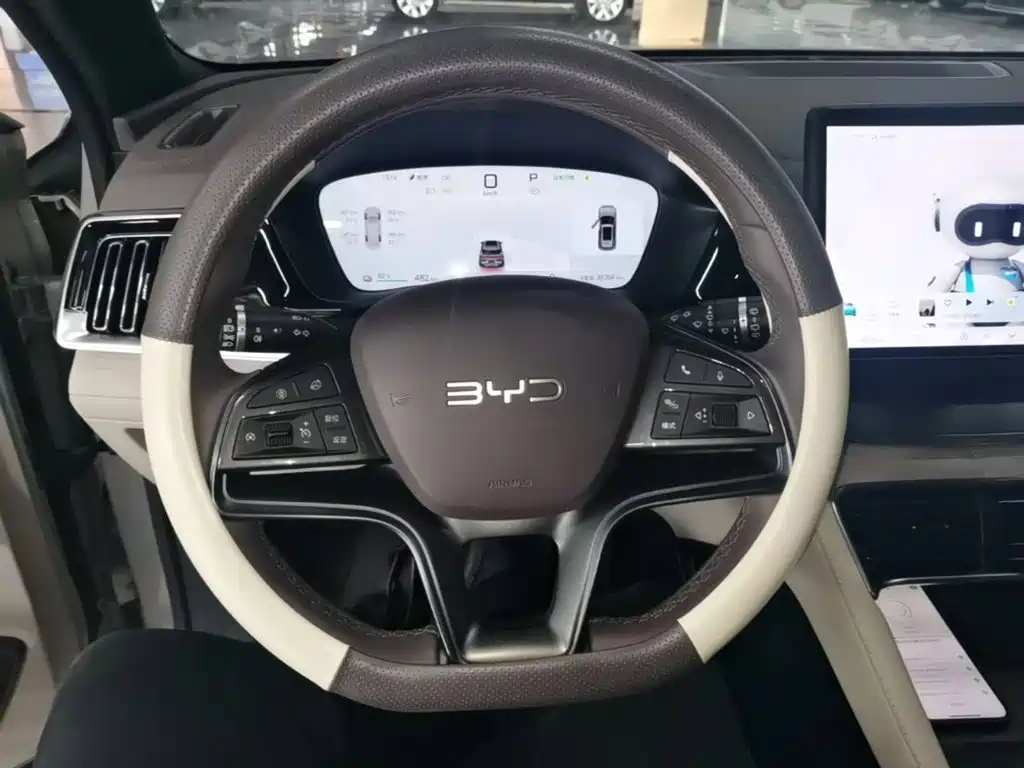 BYD Song PLUS New Energy 2024 — фото 11