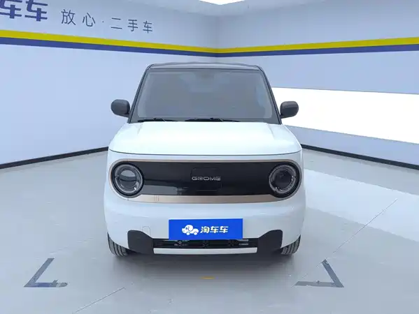 Geely Galaxy Panda 2023