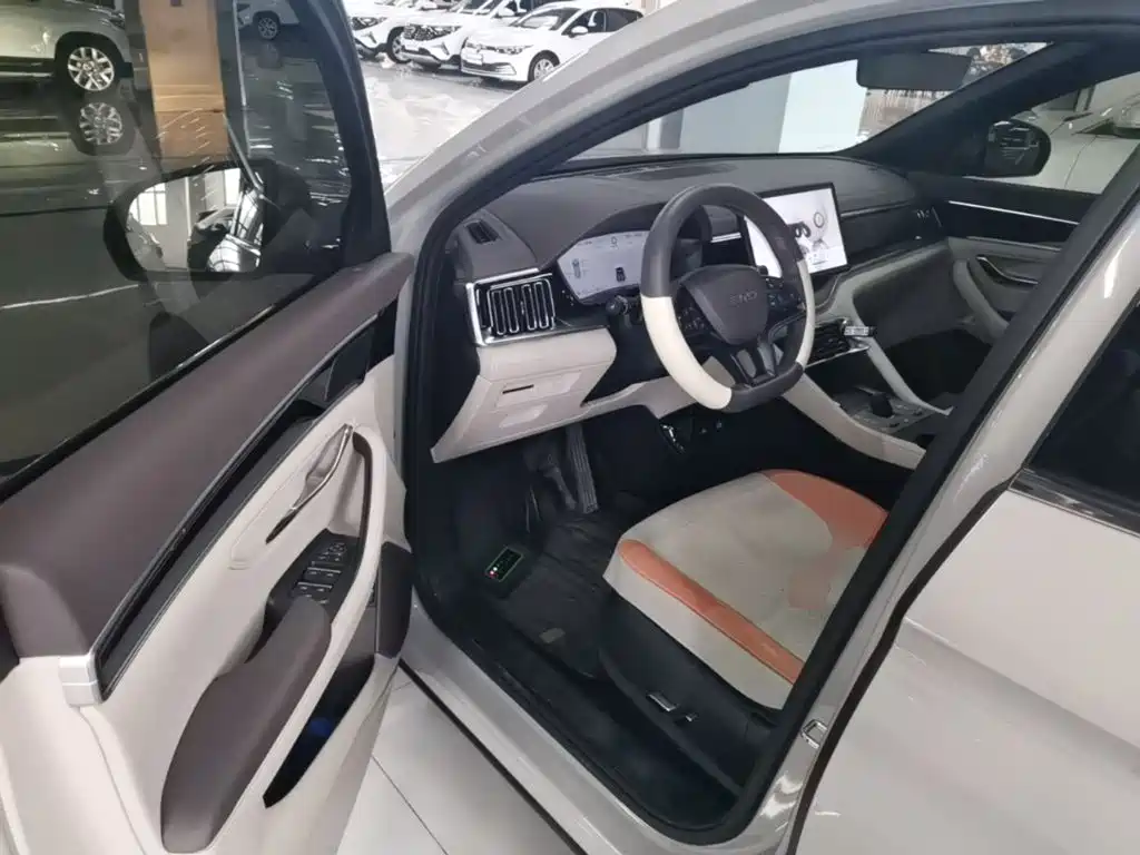 BYD Song PLUS New Energy 2024 — фото 16