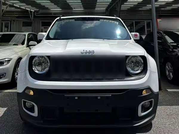 Jeep Freeman 2019