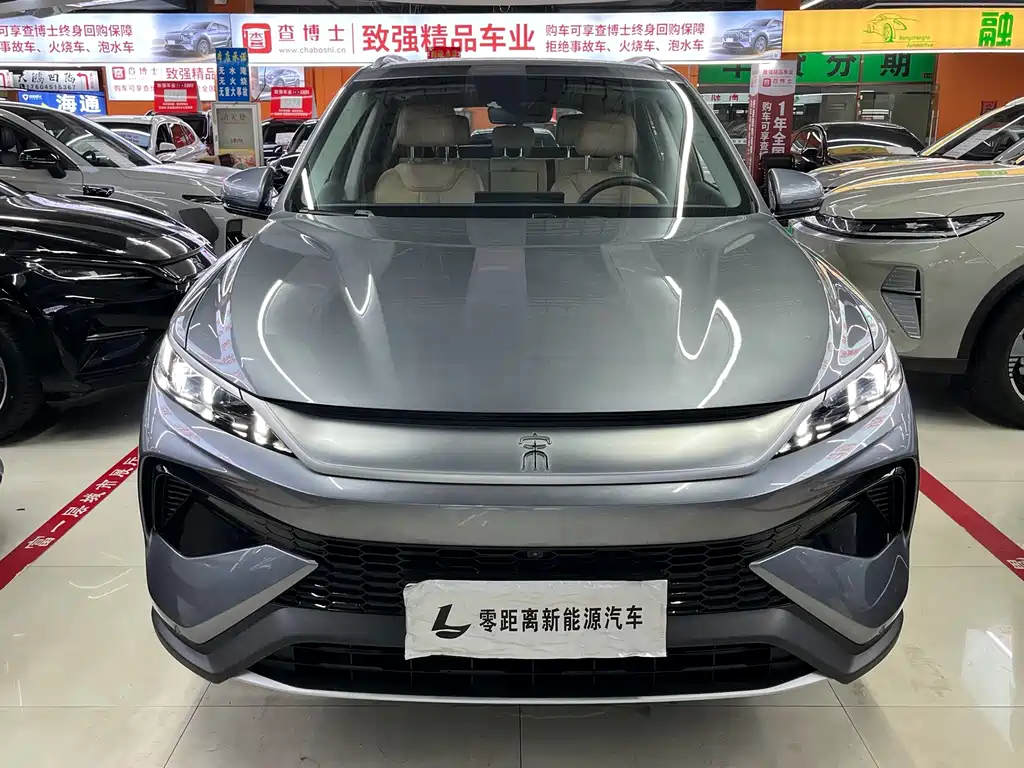 BYD Song Pro New Energy 2024 — фото 3