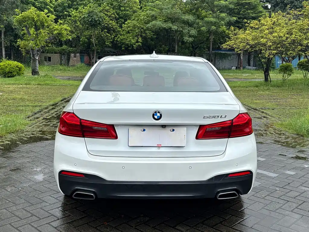 BMW 5 Series 2018 — фото 14