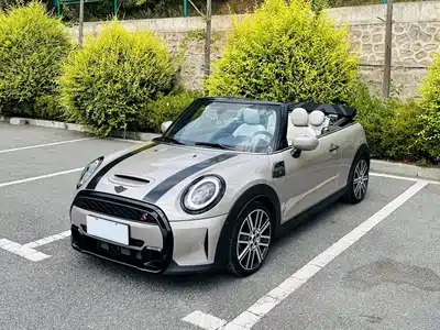 MINI MINI 2022