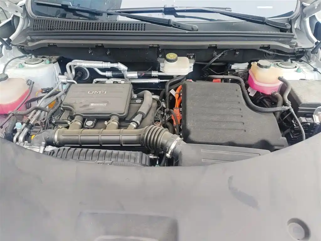 BYD Pro New Energy 2025 — фото 20