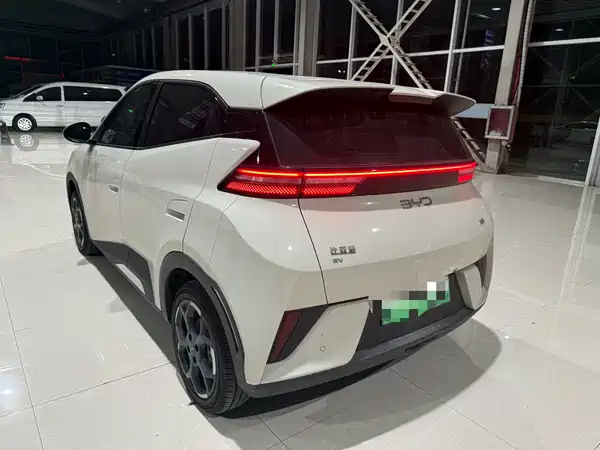 BYD Seagull 2025