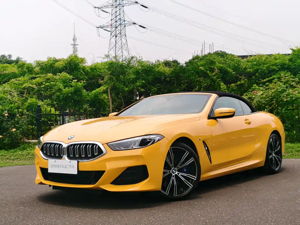 BMW 8 Series 2025 — фото 10