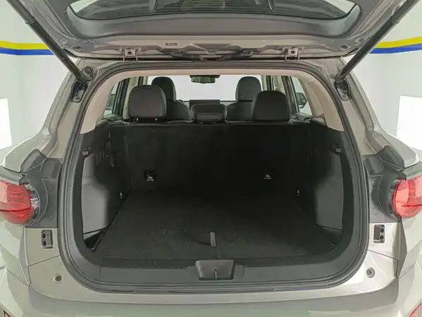 Haval Dog PLUS 2025