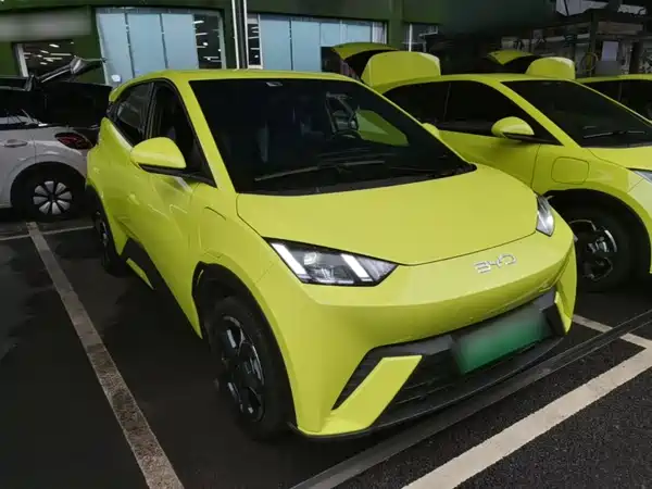 BYD Seagull 2024