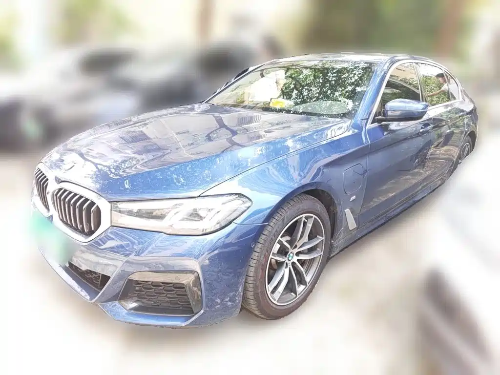 BMW 5 Series New Energy 2021