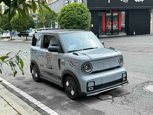Geely Galaxy Panda 2025